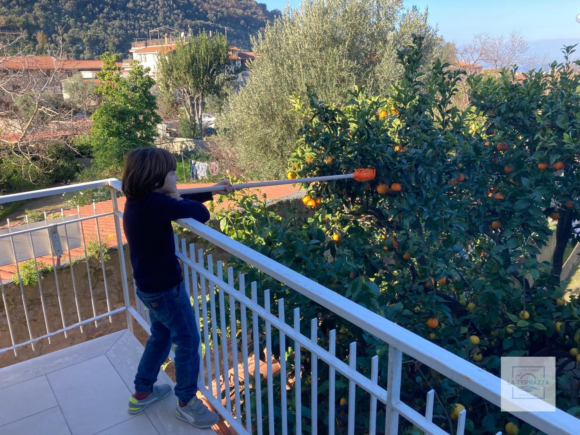 La Terrazza Family Holidays - Sorrento Coast 상트아그넬로 외부 사진